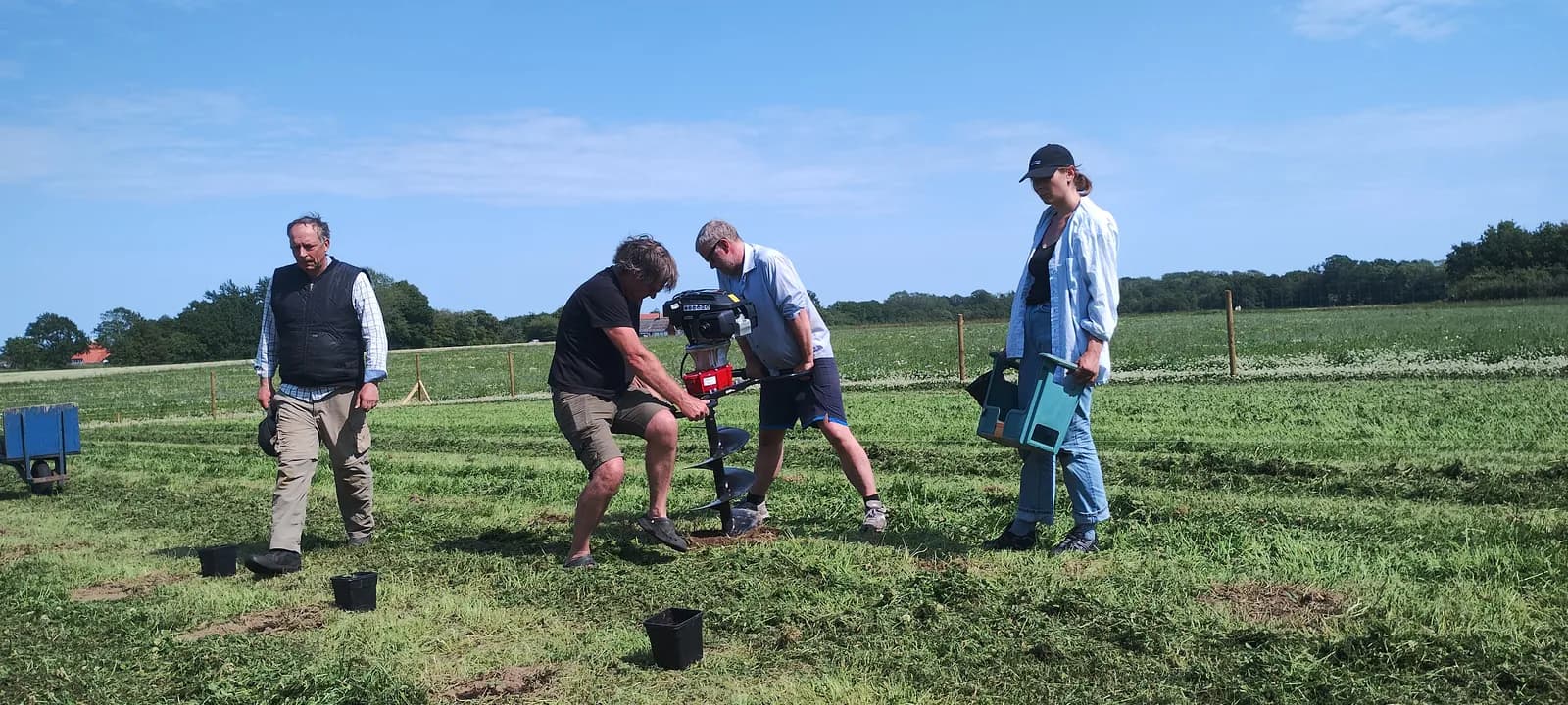 Græs Bornholm field or plant